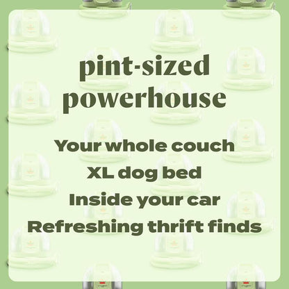 Mini portable carpet and upholstery cleaner