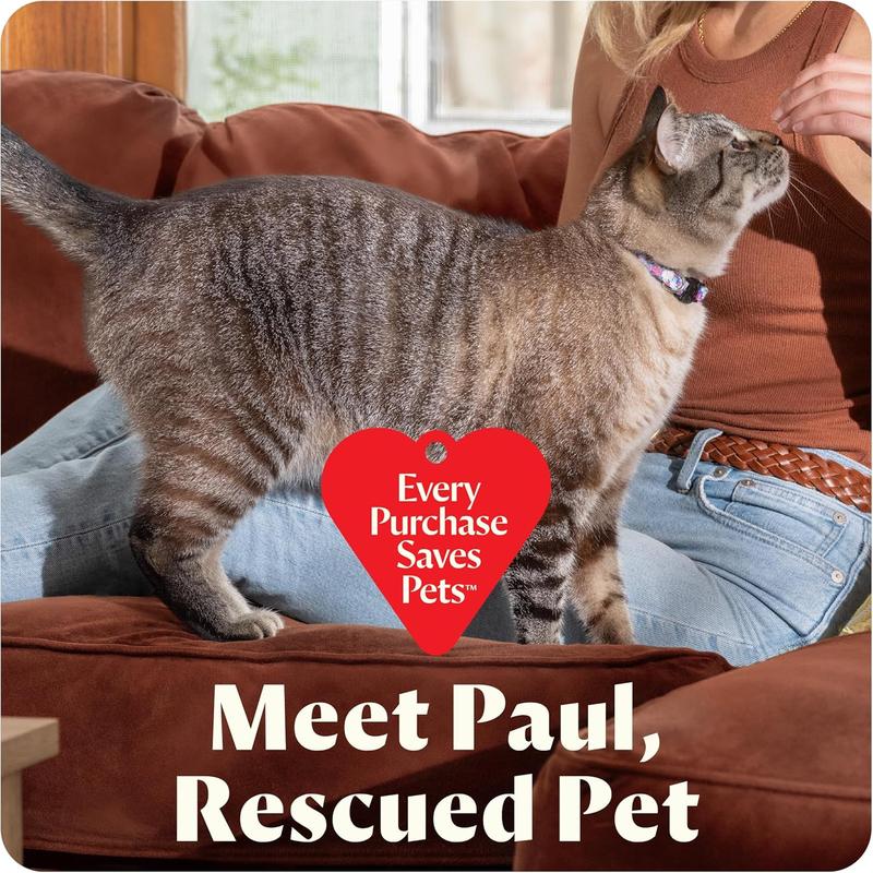 Mini portable carpet and upholstery cleaner