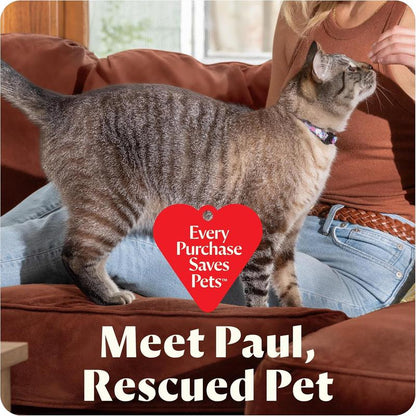 Mini portable carpet and upholstery cleaner